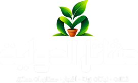 مشاتل الشركة الدولية